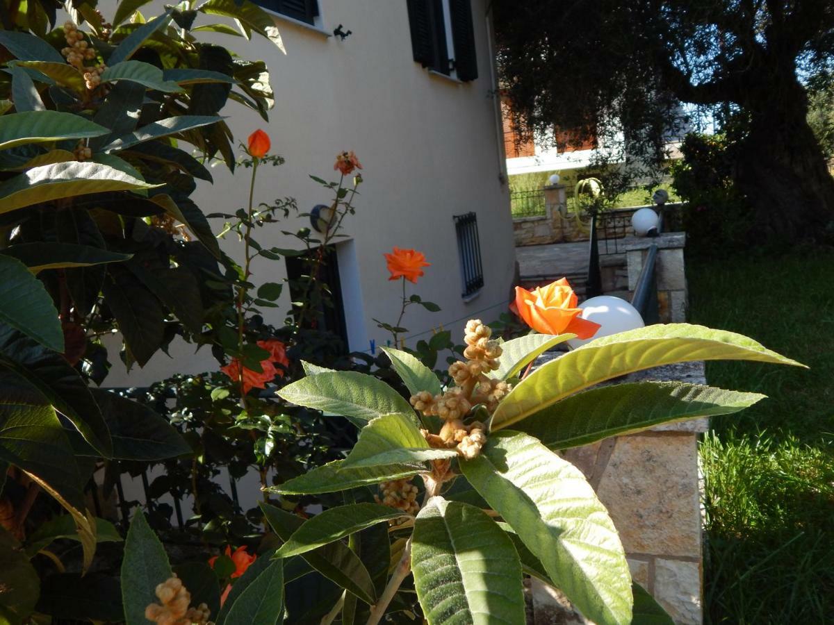 Villa Dimitra Sívota Екстериор снимка